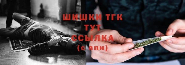 прущие крисы Белокуриха