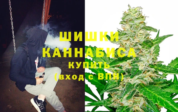 прущие крисы Белокуриха