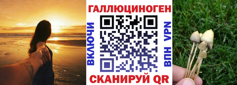 Галлюциногенные грибы Psilocybe  Фёдоровский 
